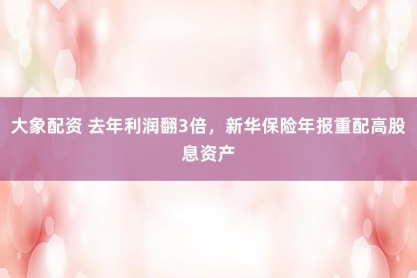 大象配资 去年利润翻3倍，新华保险年报重配高股息资产