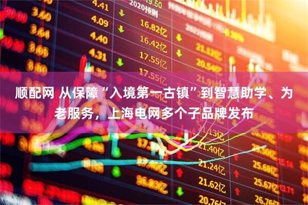 顺配网 从保障“入境第一古镇”到智慧助学、为老服务，上海电网多个子品牌发布
