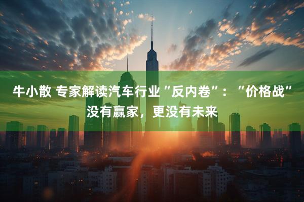 牛小散 专家解读汽车行业“反内卷”：“价格战”没有赢家，更没有未来