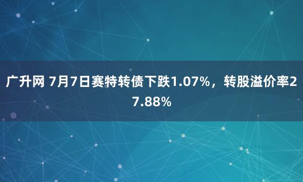 广升网 7月7日赛特转债下跌1.07%，转股溢价率27.88%