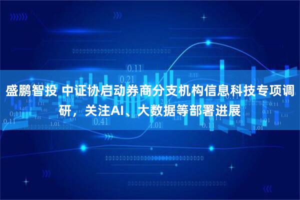 盛鹏智投 中证协启动券商分支机构信息科技专项调研，关注AI、大数据等部署进展