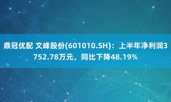 鼎冠优配 文峰股份(601010.SH)：上半年净利润3752.78万元，同比下降48.19%