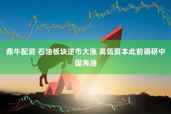 鼎牛配资 石油板块逆市大涨 高瓴资本此前调研中国海油