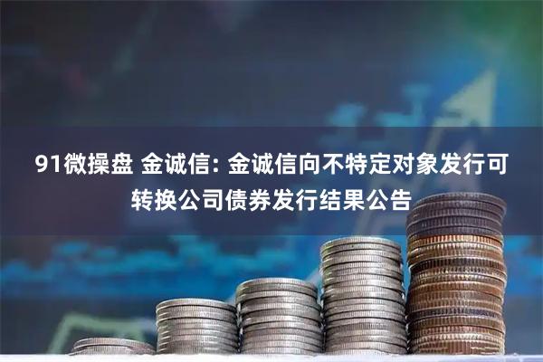 91微操盘 金诚信: 金诚信向不特定对象发行可转换公司债券发行结果公告