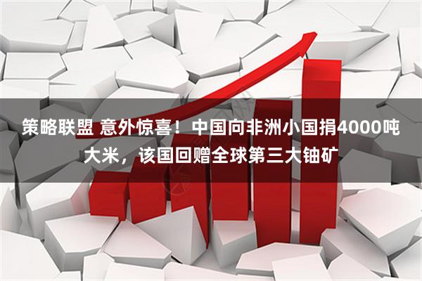策略联盟 意外惊喜！中国向非洲小国捐4000吨大米，该国回赠全球第三大铀矿