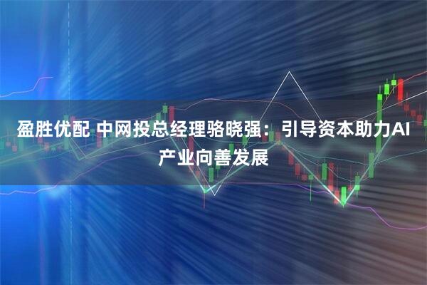 盈胜优配 中网投总经理骆晓强:引导资本助力AI产业向善发展